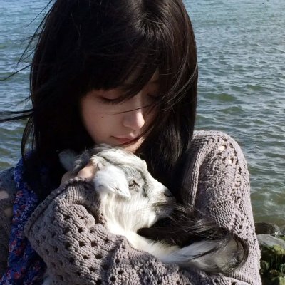 你和我的警察课堂